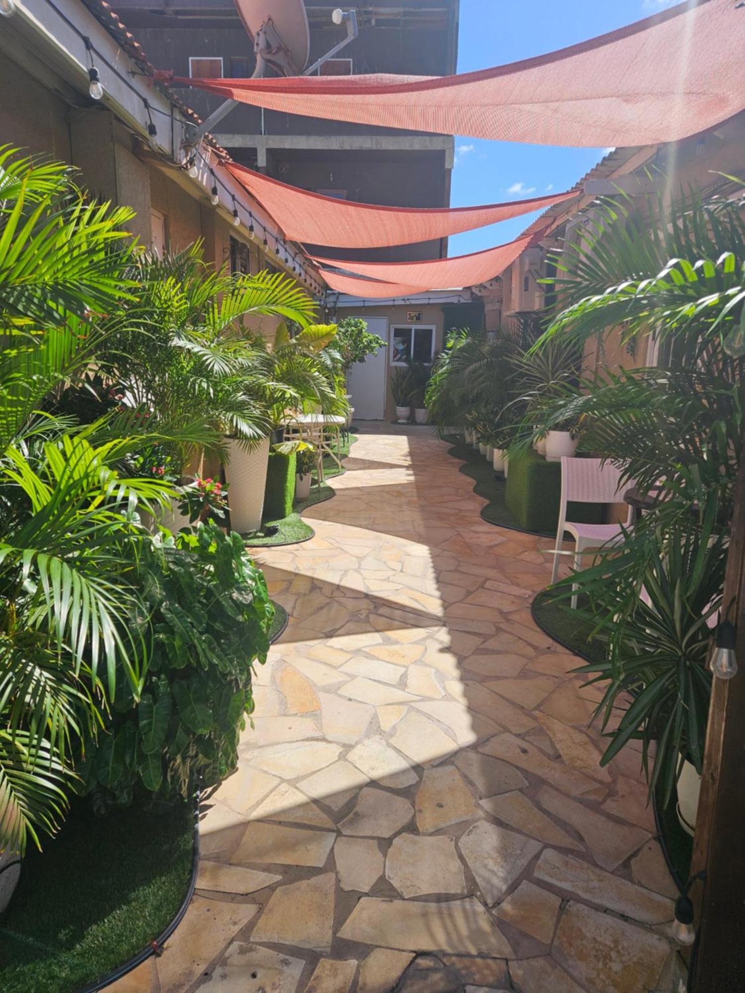 The Jazmine'S Apartment A Oranjestad Bagian luar foto
